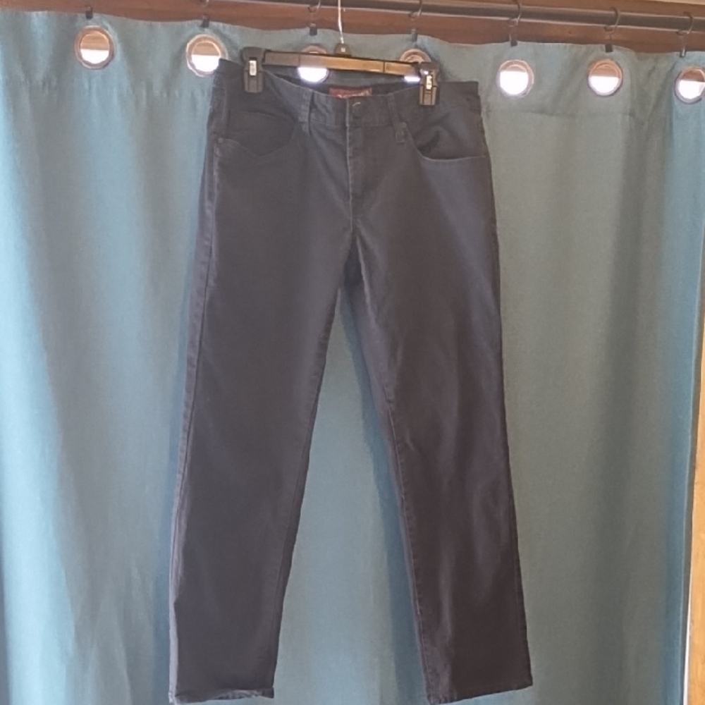 Arizona Jean Company Black Skinny Jeans